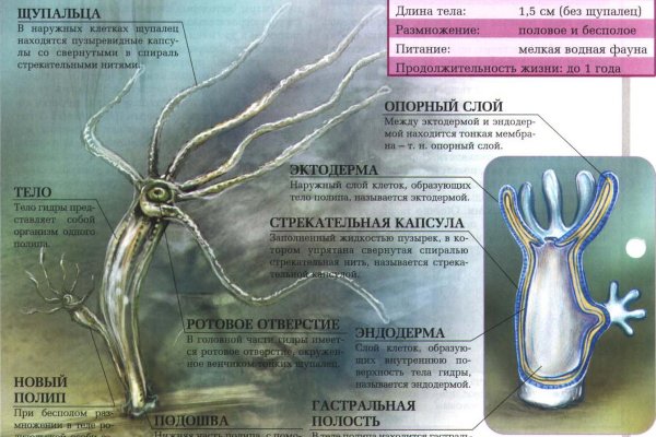 Не могу зайти в аккаунт кракен