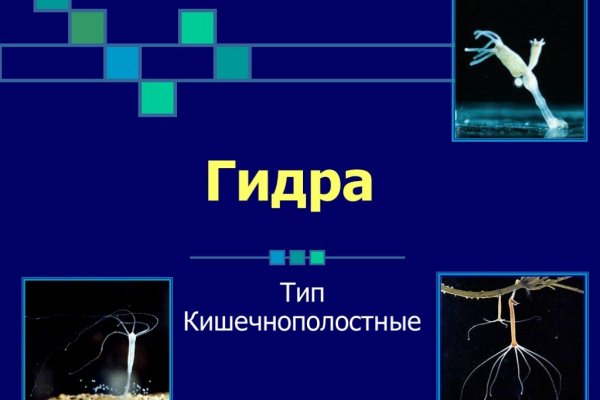 Kra37.at