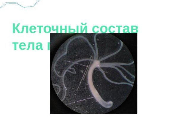Ссылка на кракен официальный сайт