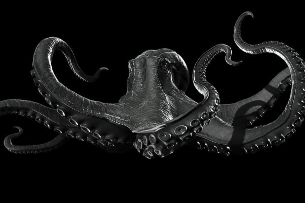 Kraken 22 аt