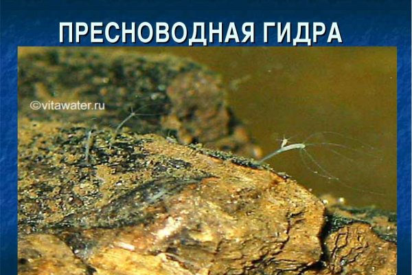 Kraken com darknet