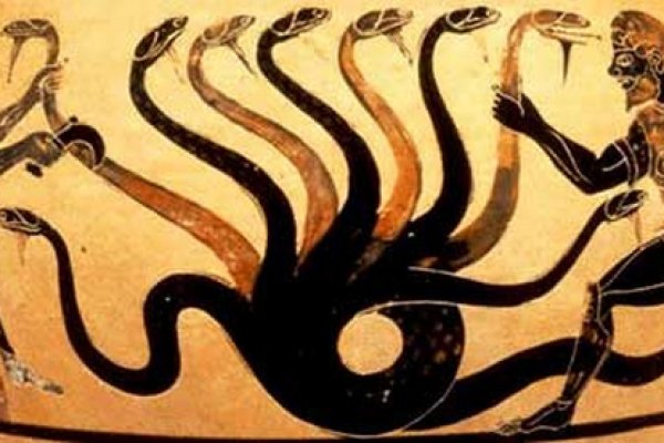 Kraken 6 at