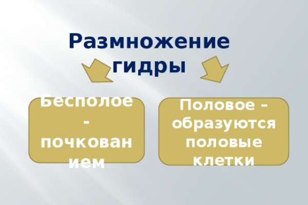 Кракен сайт закладок