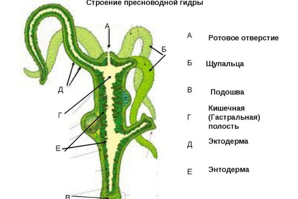 Что такое кракен только через тор