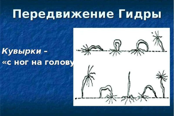 Замена hydra