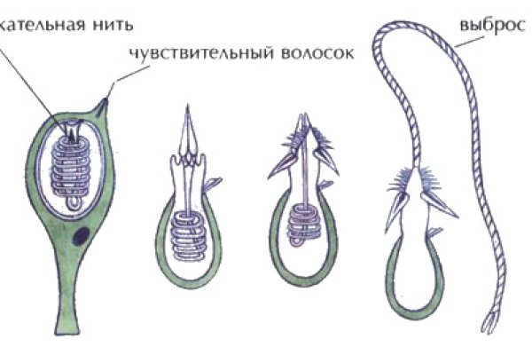 Kraken darknet kraken darknet 2n com