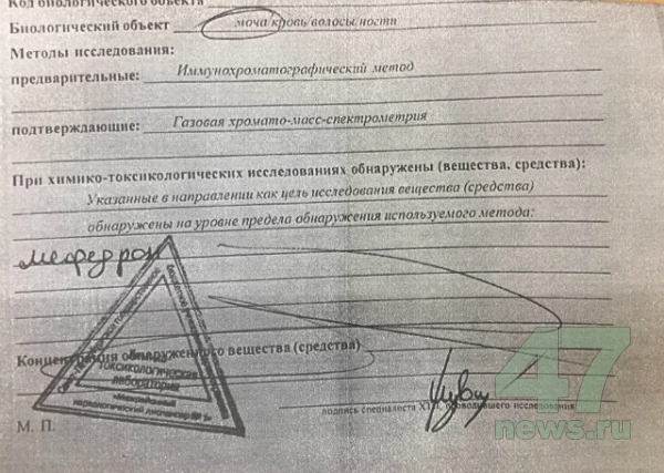 Мега кракен блэк спрут