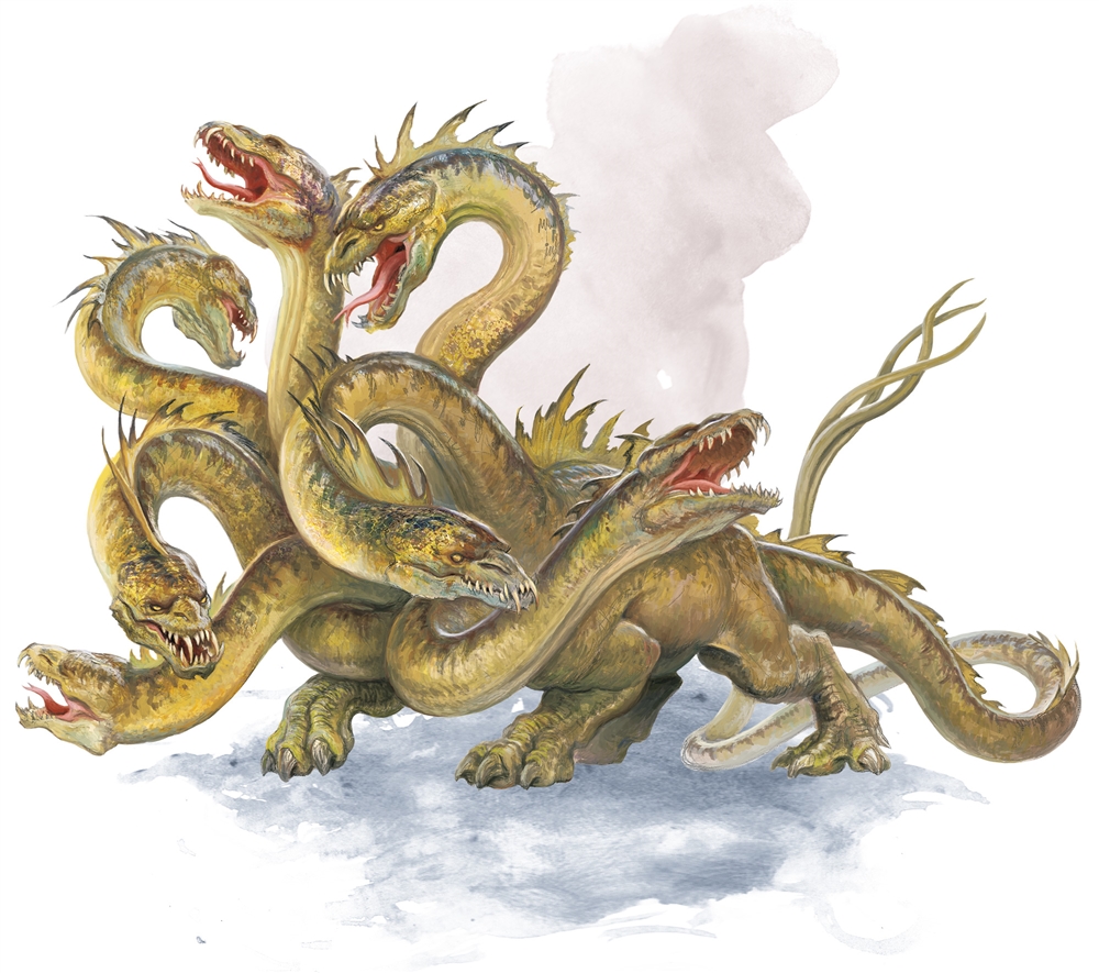 Kraken 5at